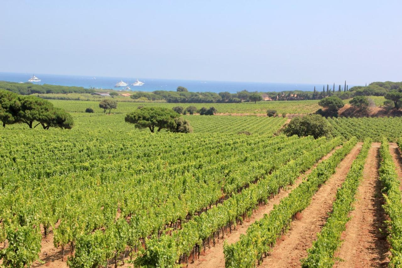 La Villa Cavalaire المظهر الخارجي الصورة