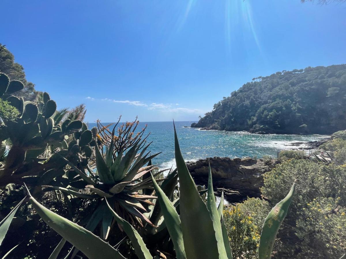 La Villa Cavalaire المظهر الخارجي الصورة