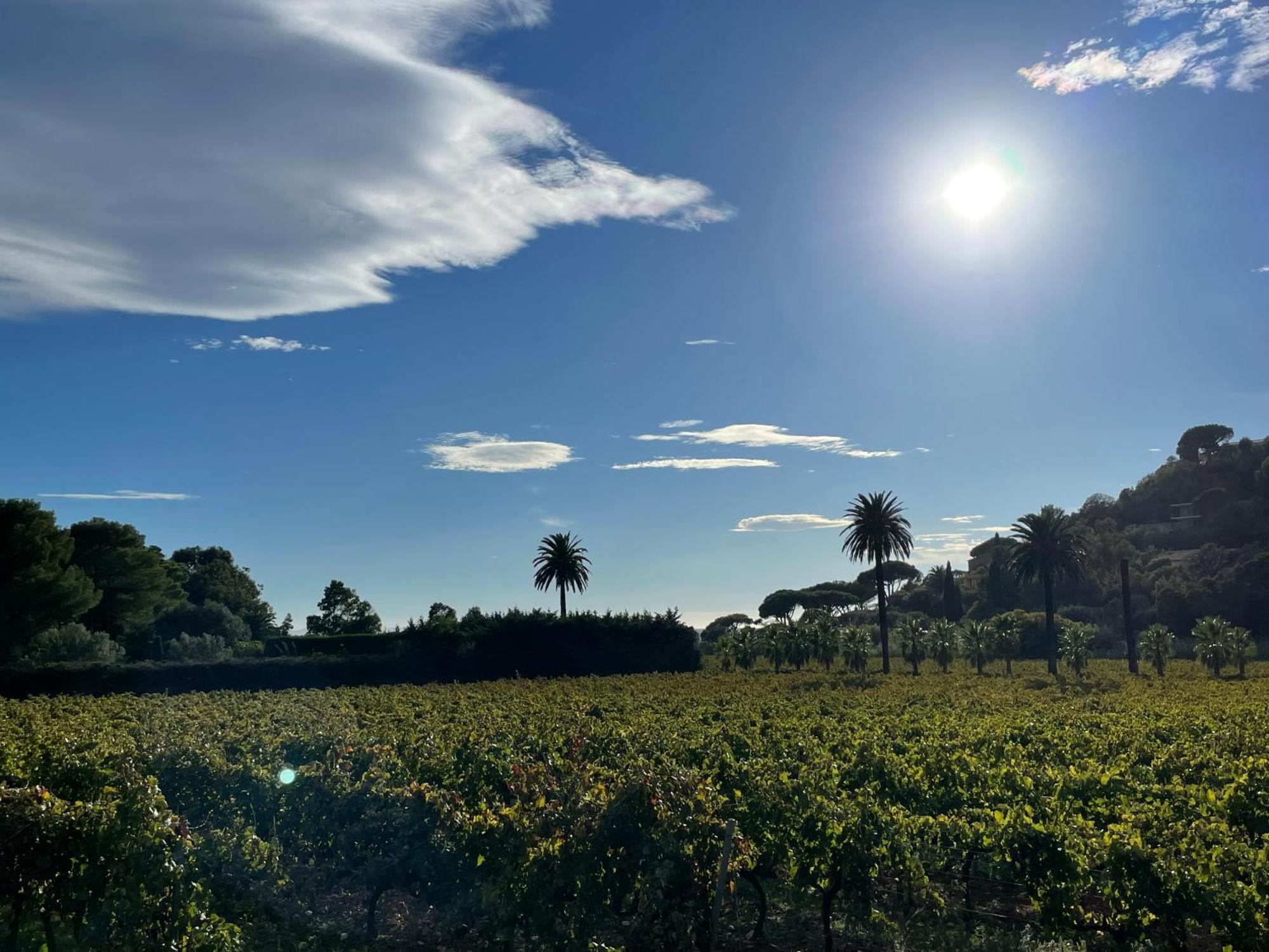 La Villa Cavalaire المظهر الخارجي الصورة